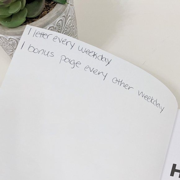 Silly Sentences Handwriting Practice Workbook - Picture 3 of 12